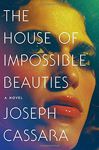 Book Cover for House of Impossible Beauties 