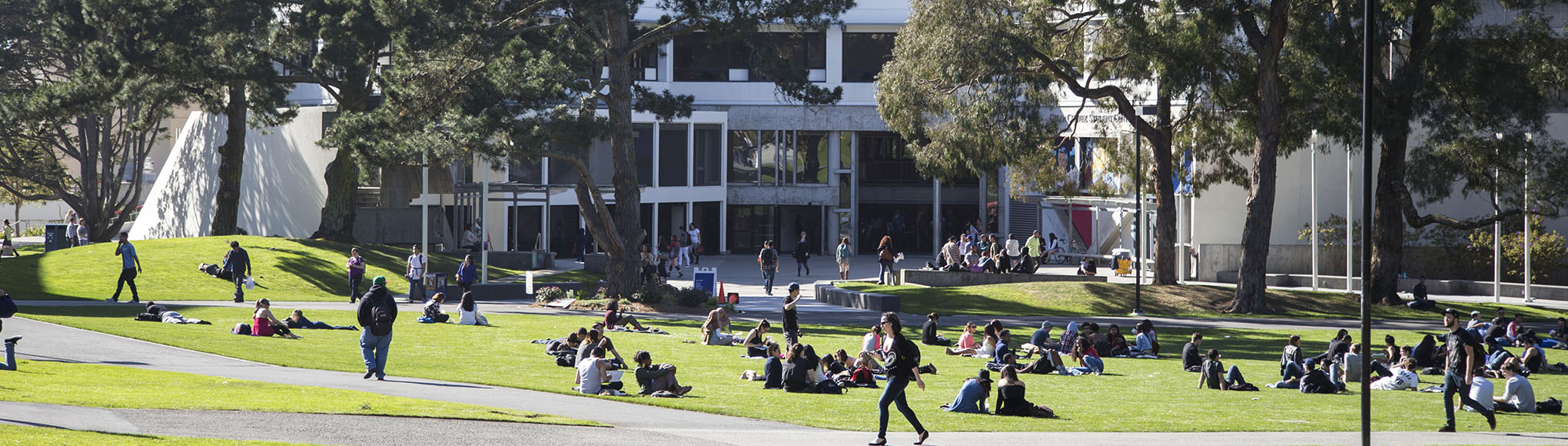 Students sit in the Quad on a sunny day