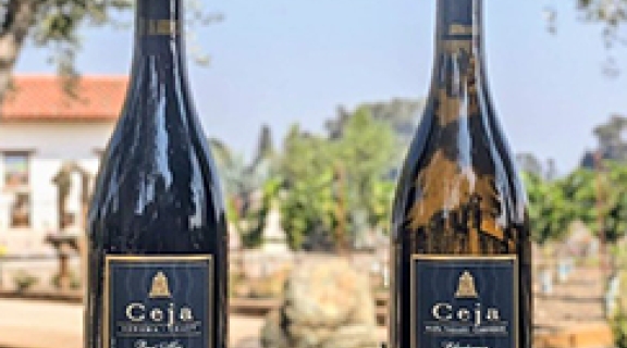 Two bottles of Ceja wines set on a table outside 
