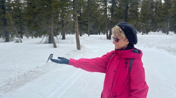 hiker feeding a chickadee bird